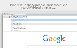 Wikipedia Search