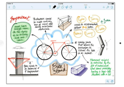 Notability